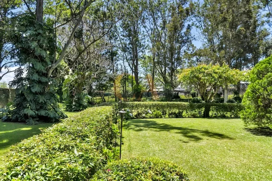 XWPH+VH6, Heredia Province, Cantón de Santo Domingo, Costa Rica, Santo Domingo, Heredia Province, Costa Rica. - Photo 8