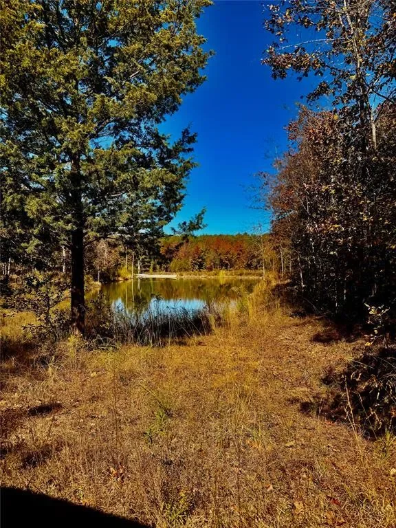 173 N Jones Ranch Road, Broken Bow, OK 74728, Broken Bow, Oklahoma, United States. - Photo 37