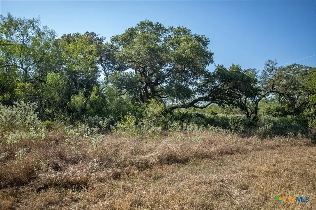 000 Stratton Road, Yoakum, TX 77995, Yoakum, Texas, United States. - Photo 14