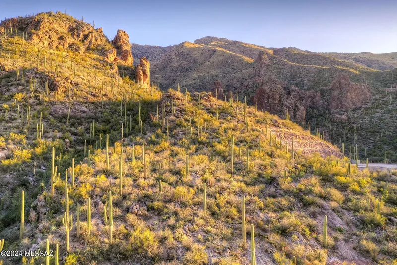 6940 N Flying View Place, Tucson, AZ, 85750, USA, Tucson, Arizona, United States. - Photo 11