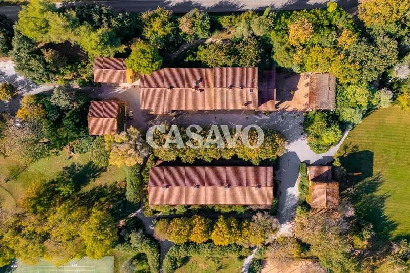 57022 Castagneto Carducci, Province of Livorno, Italy, Castagneto Carducci, Italy. - Photo 82