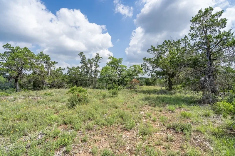 19705 Tyler Trail, Jonestown, TX 78645, Jonestown, Texas, United States. - Photo 30