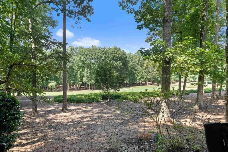 1041 LOCKETS TRAIL, Greensboro, GA 30642, Greensboro, Georgia, United States. - Photo 67