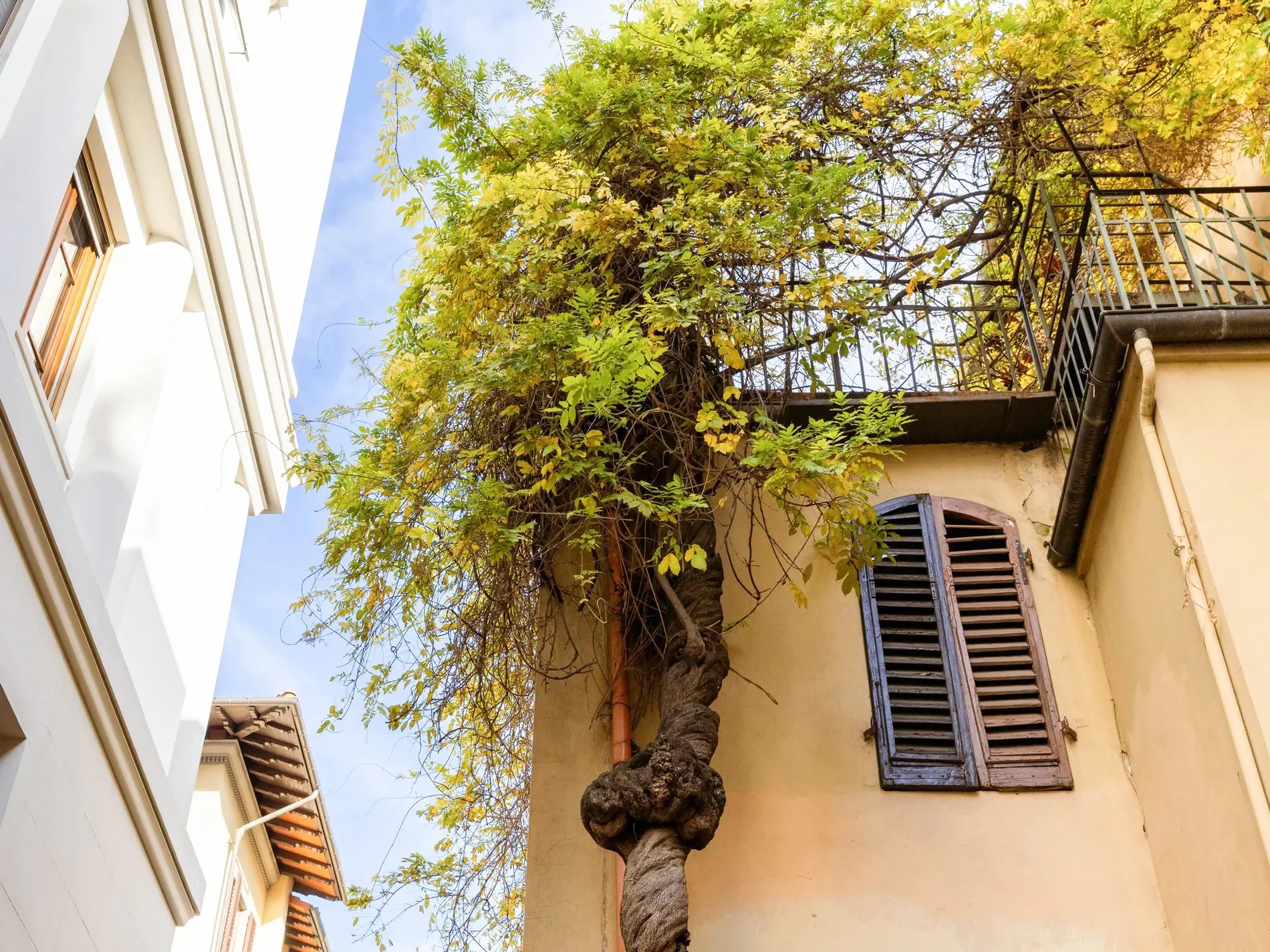 Via Francesco Crispi, 50129 Firenze FI, Italy, Florence, Tuscany, Italy. - Photo 11