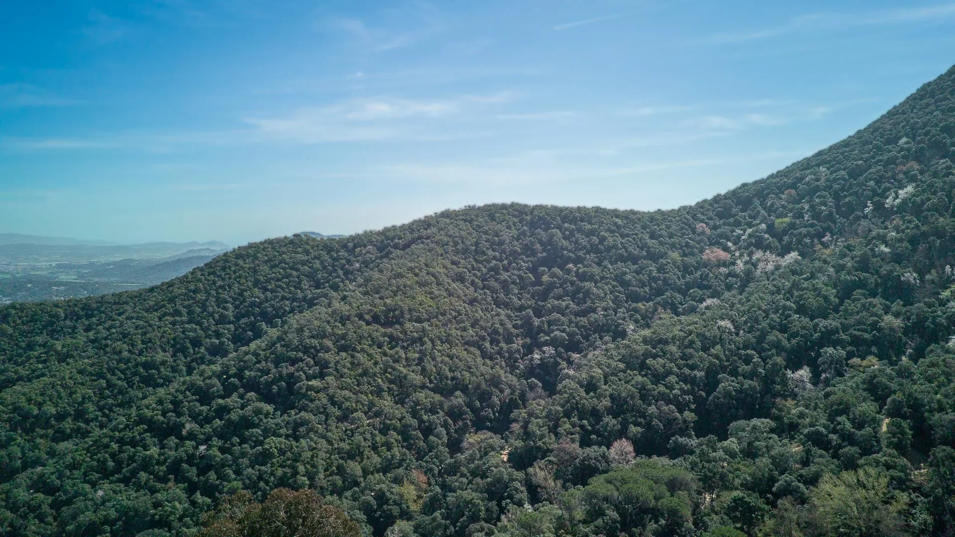 Hortsavinya, Tordera, BARCELONA, Tordera, Tordera, Catalonia, Spain. - Photo 34