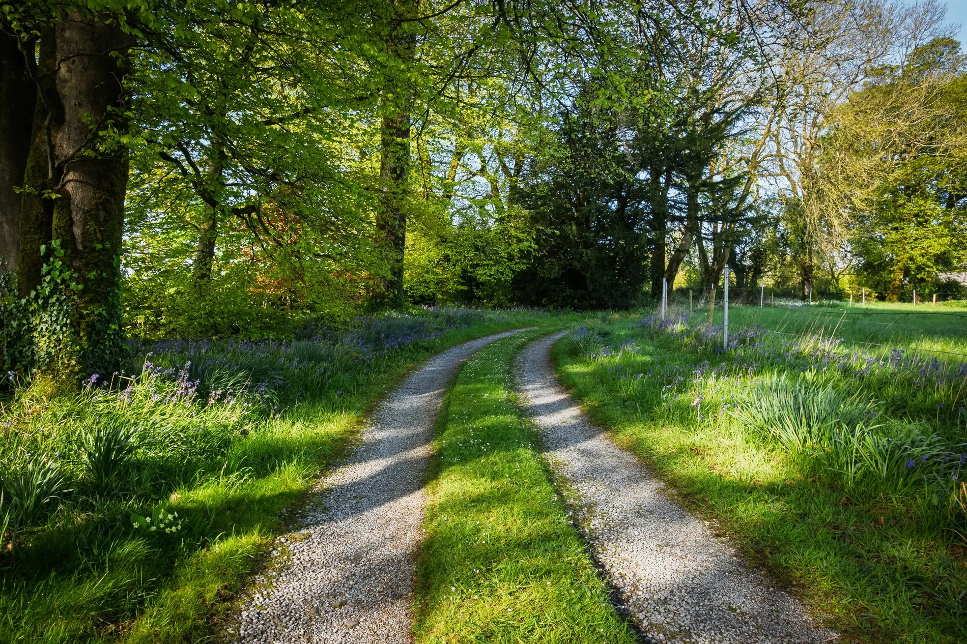 Bandon, Co. Cork, Ireland, Bandon, County Cork, Ireland. - Photo 5