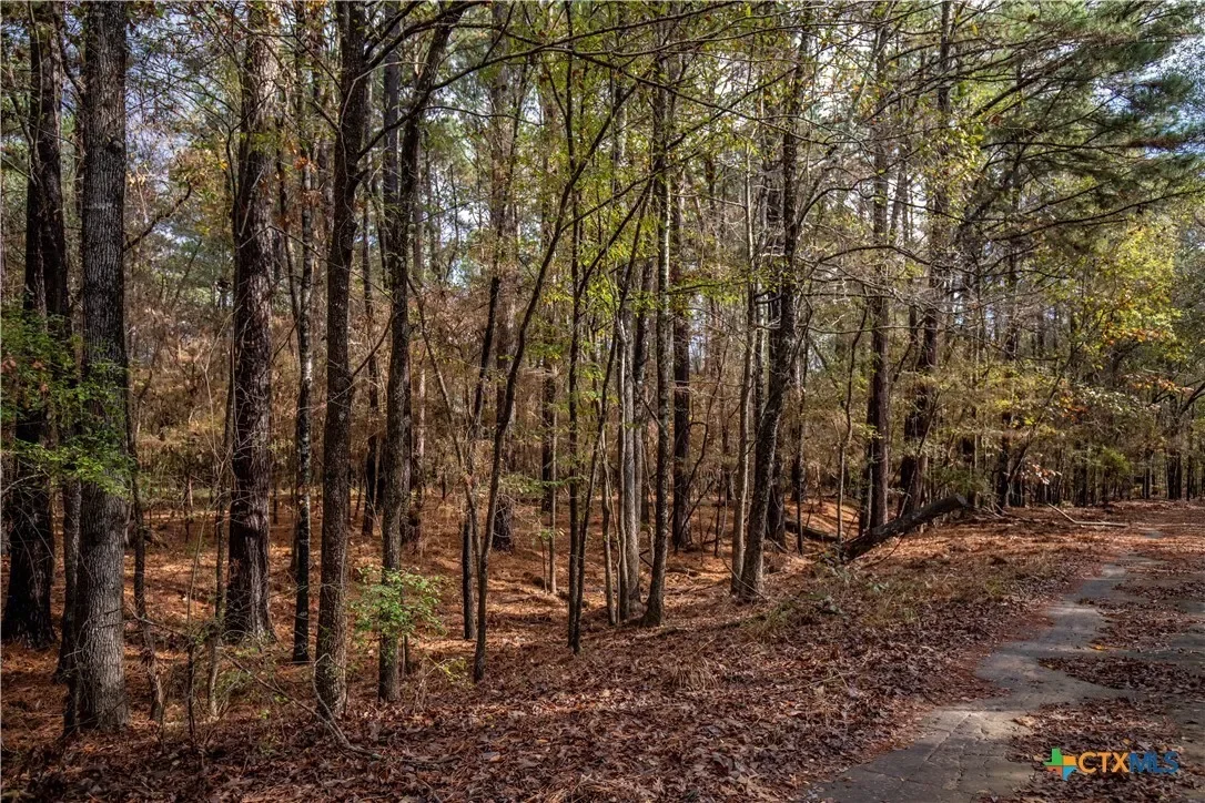 474 Pr 4311, White Oak, TX 75693, Longview, Texas, United States. - Photo 14