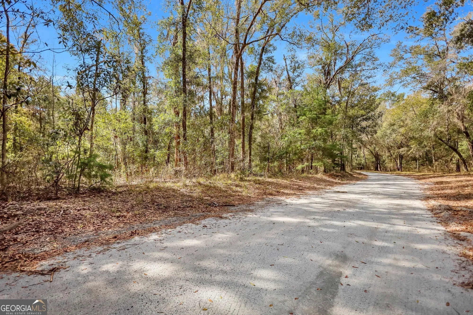 0 Drizzle Bluff Road, Woodbine, GA 31569, Woodbine, Georgia, United States. - Photo 3