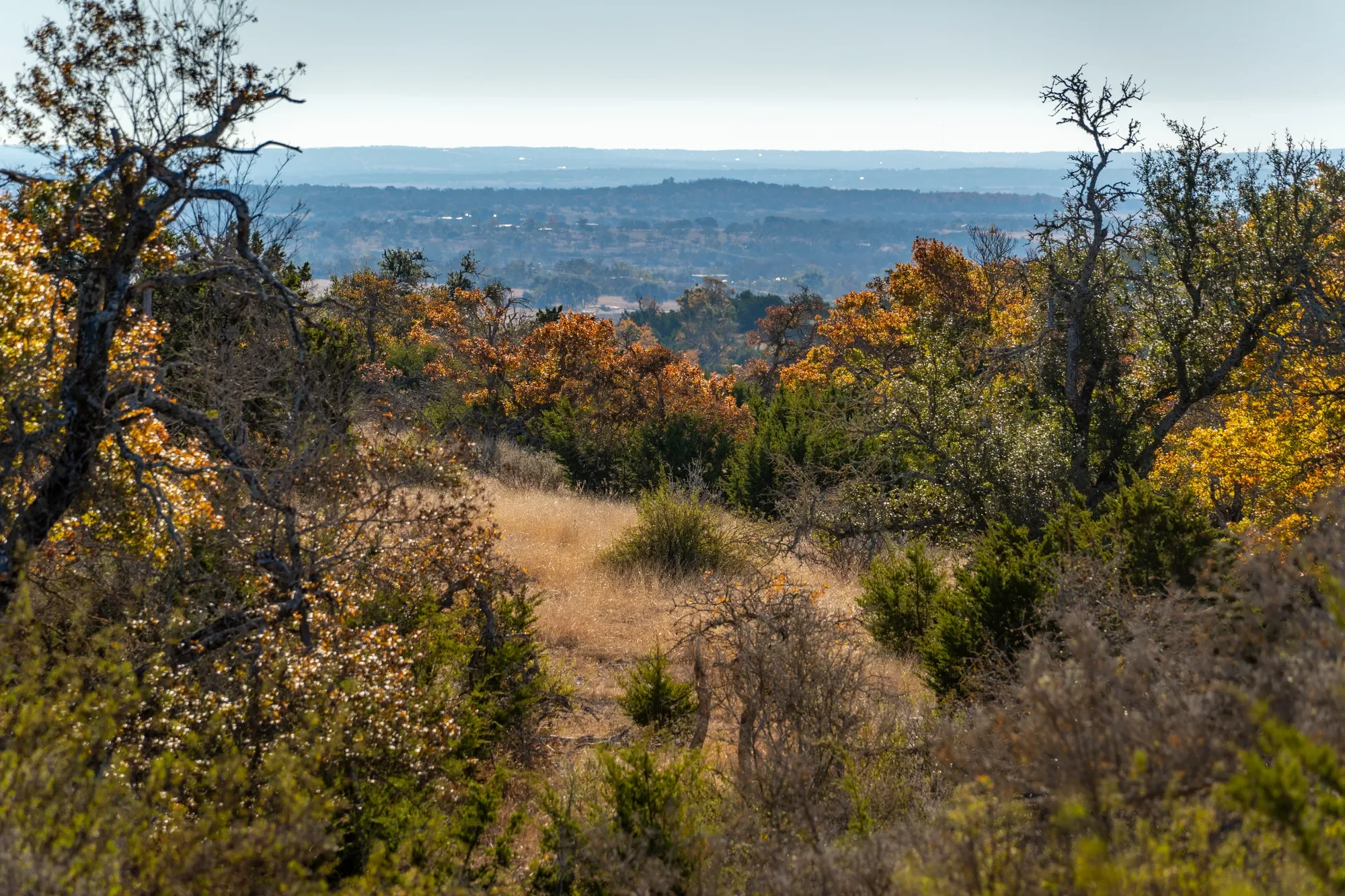 196 Hermit Hill Road , Fredericksburg, TX 78624, Fredericksburg, Texas, United States. - Photo 29