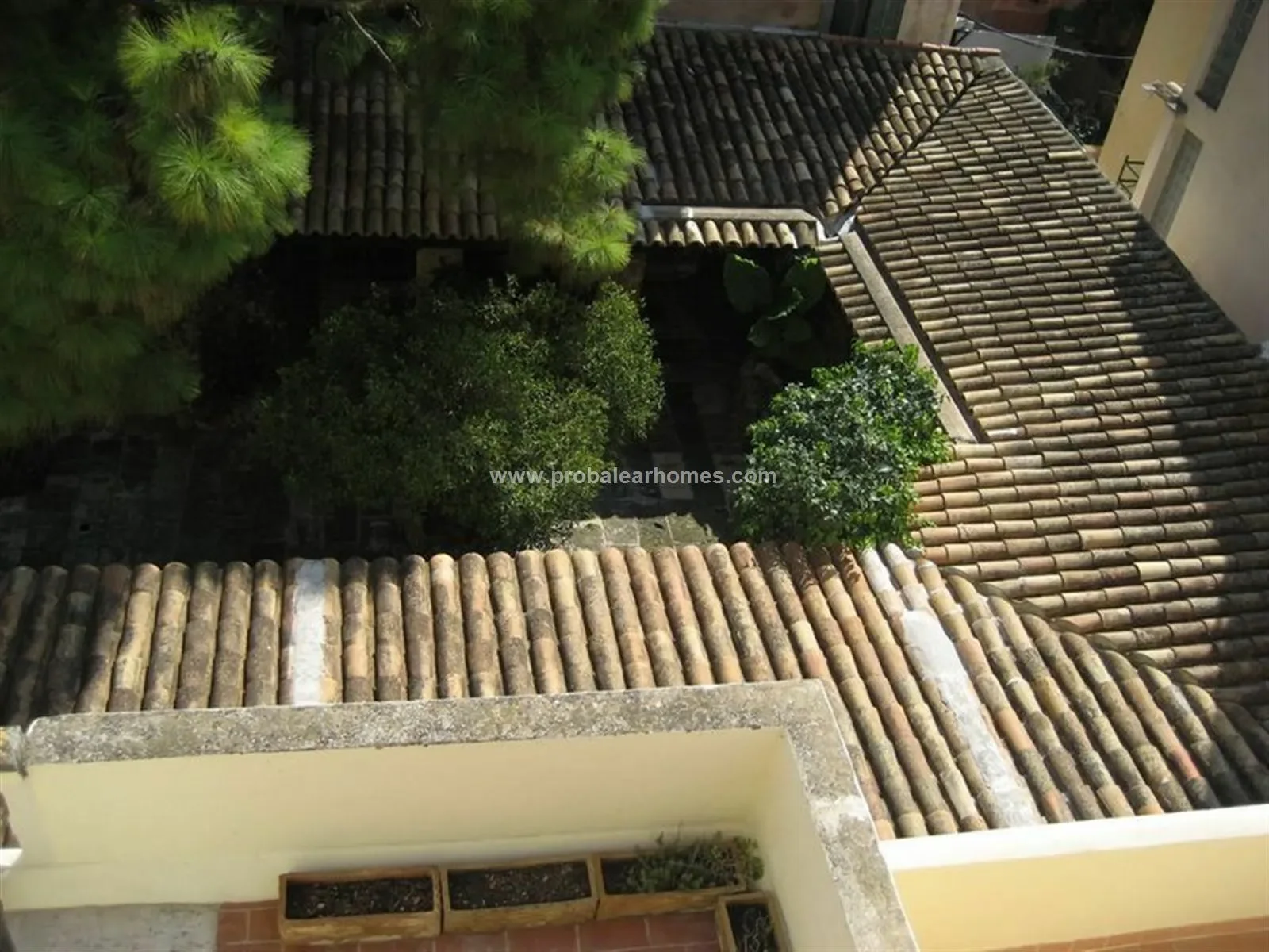 EL TERRENO, PALMA DE MALLORCA, Baleares, PALMA DE MALLORCA, Palma, Balearic Islands, Spain. - Photo 34