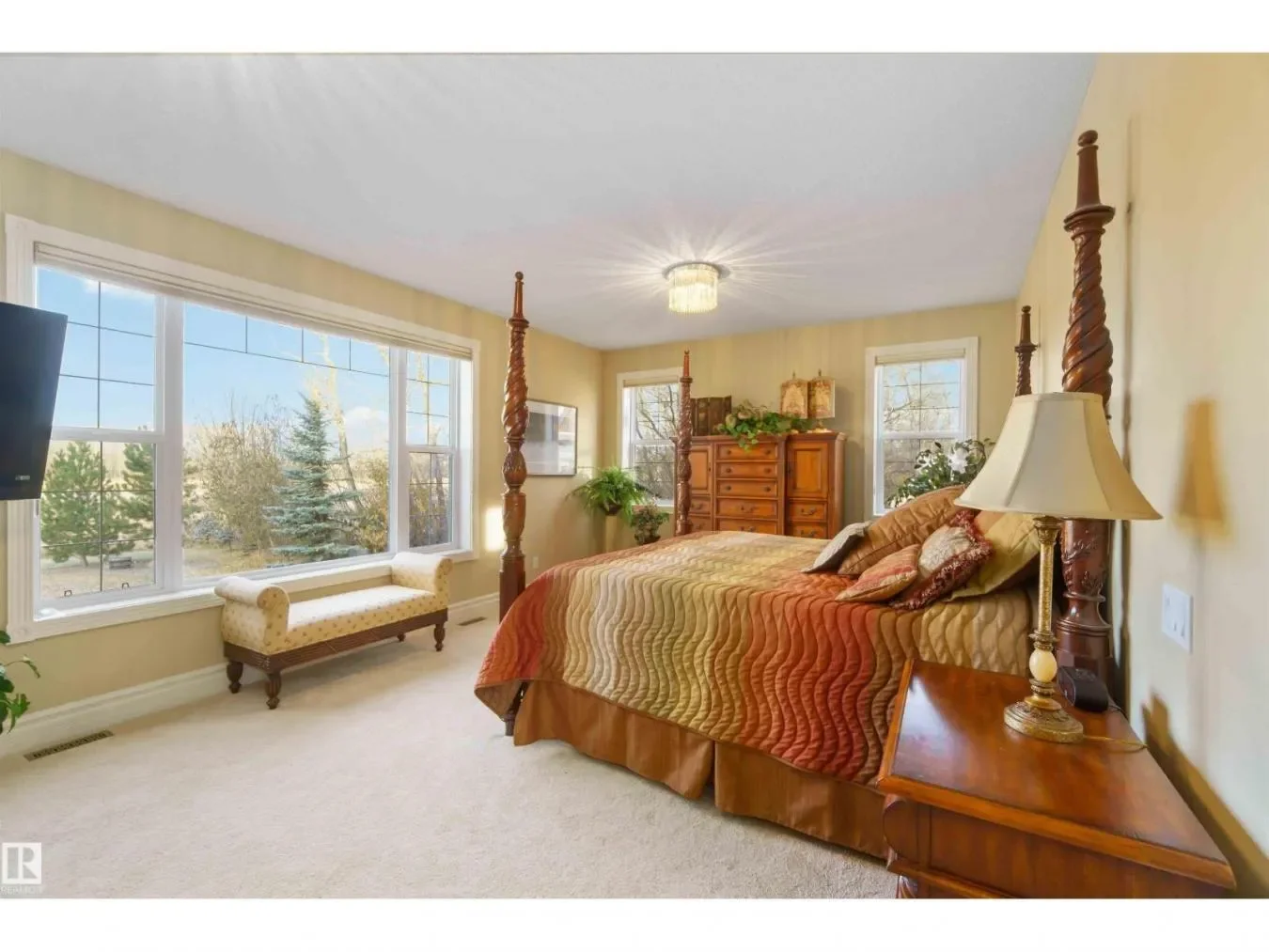 Gallery photo 7