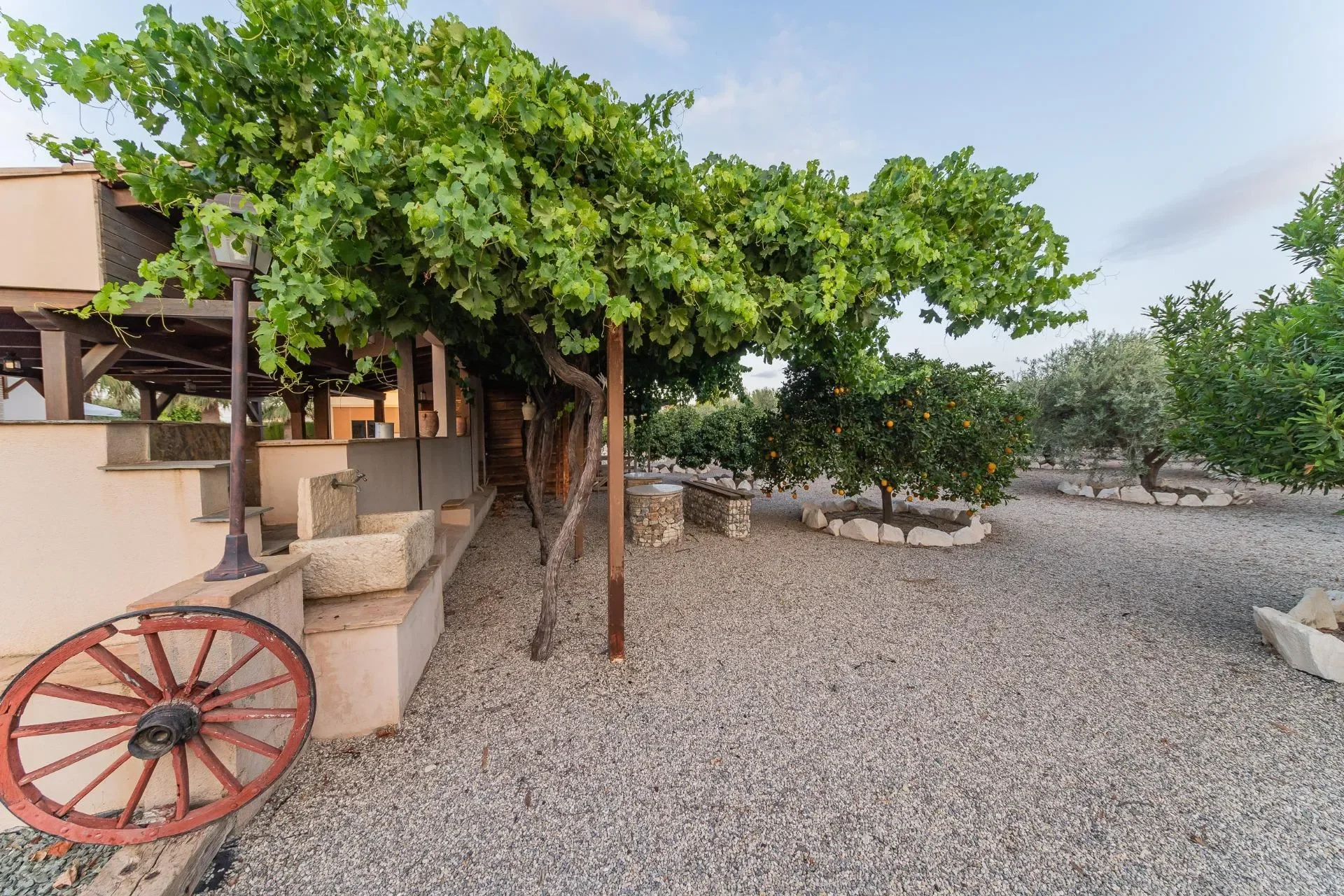 Camino de la torre, Lorca, MURCIA, Lorca, Lorca, Region of Murcia, Spain. - Photo 11