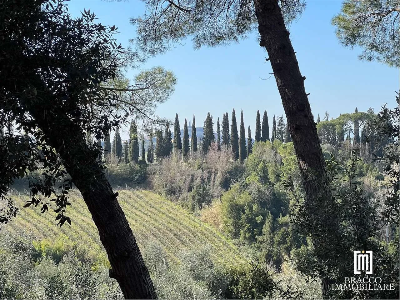Poggio a Pino, 71, Ponte a Elsa, Tuscany, Italy. - Photo 57