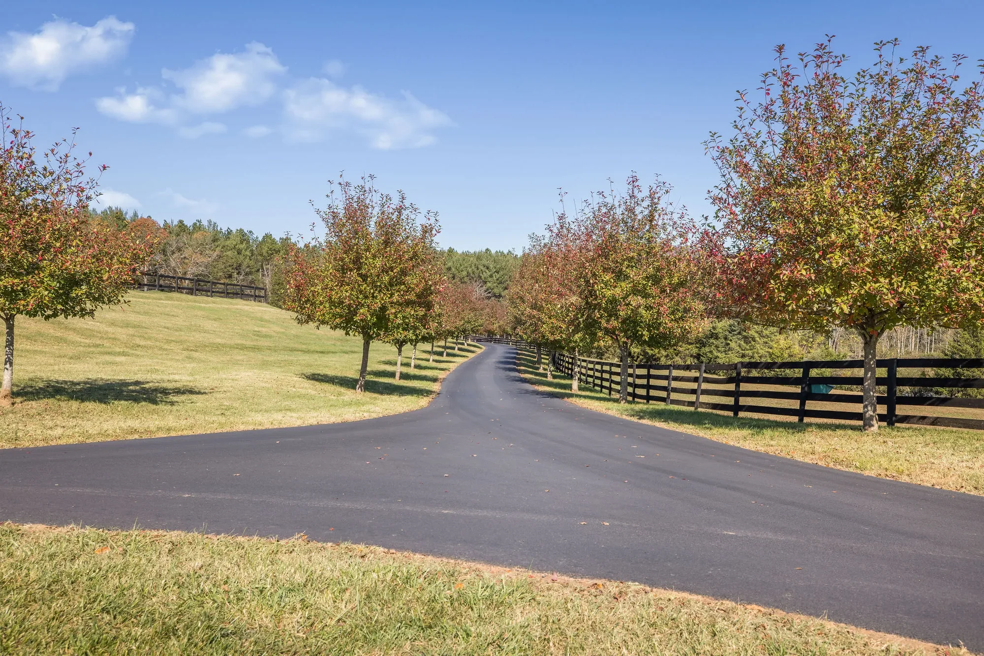 2687 Milton Farm, Charlottesville, VA 22902, Charlottesville, Virginia, United States. - Photo 47