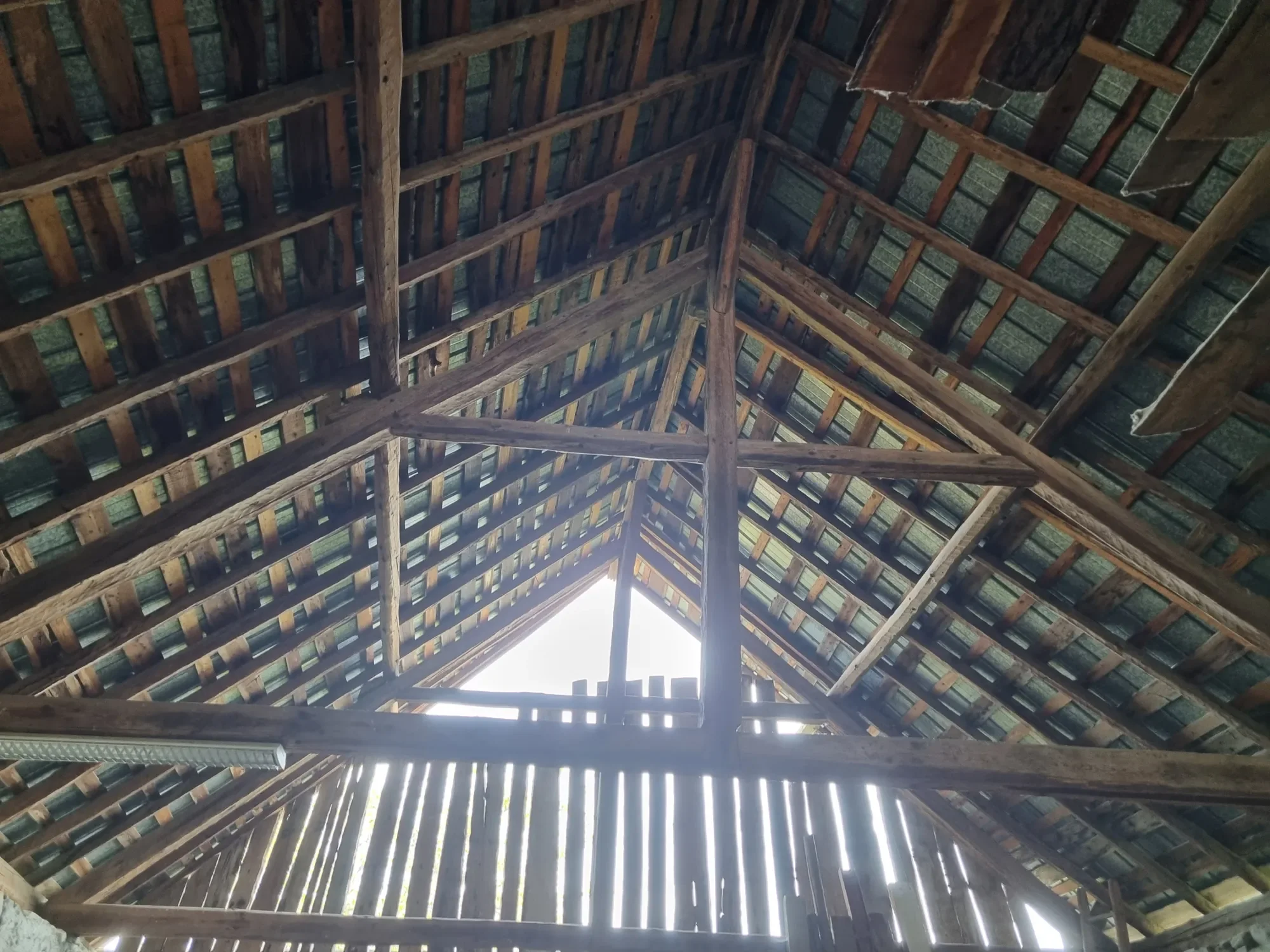 Gallery photo 4