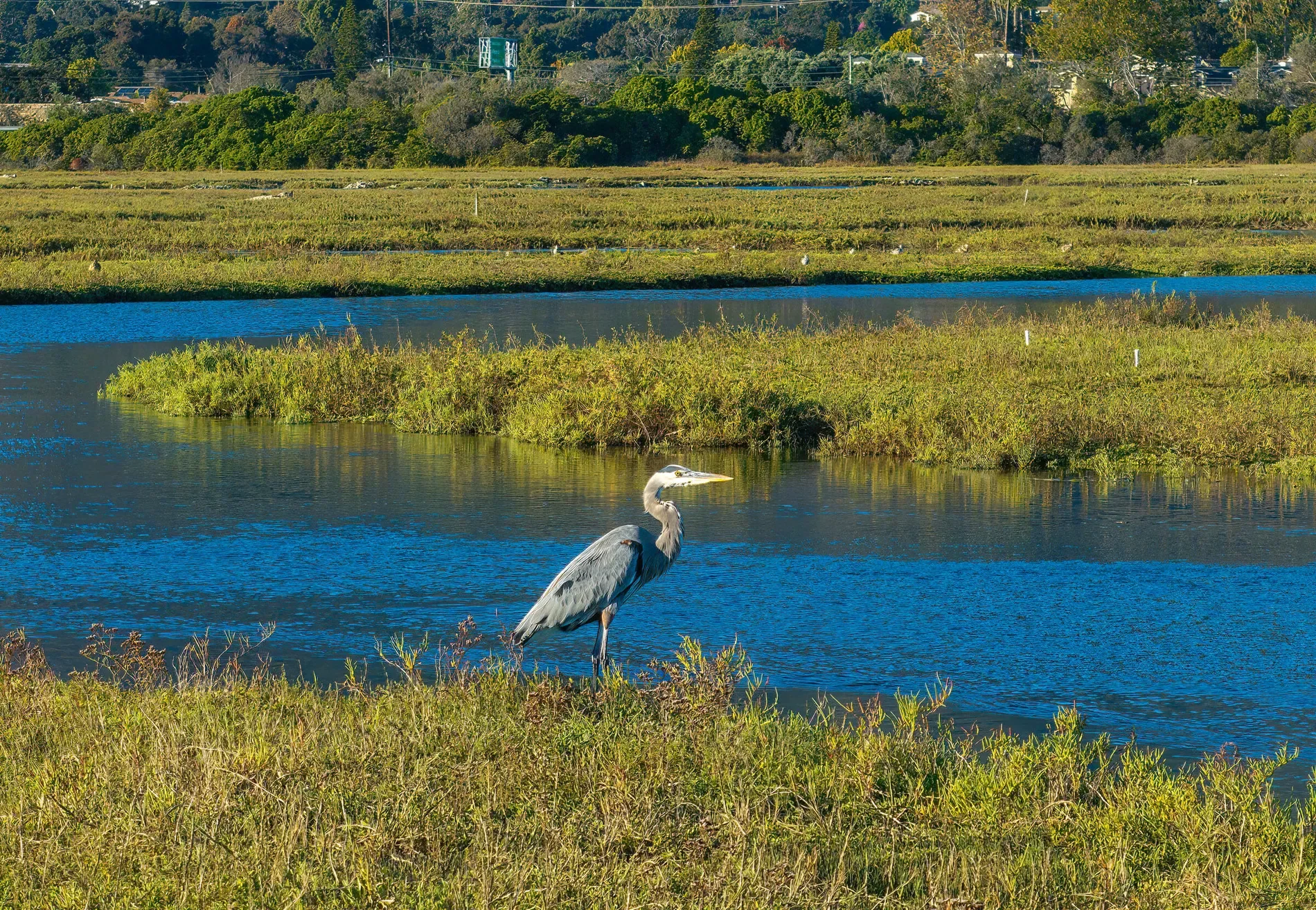 571 Sand Point Road, Carpinteria, California, United States. - Photo 28