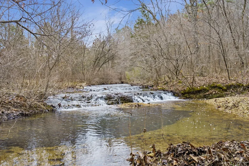 7064 County Road 14-223, Ava, MO 65608, Ava, Missouri, United States. - Photo 24
