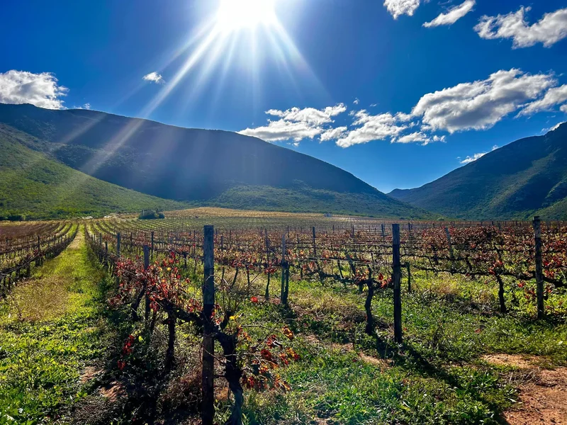 Ashton, Western Cape, South Africa. - Photo 16