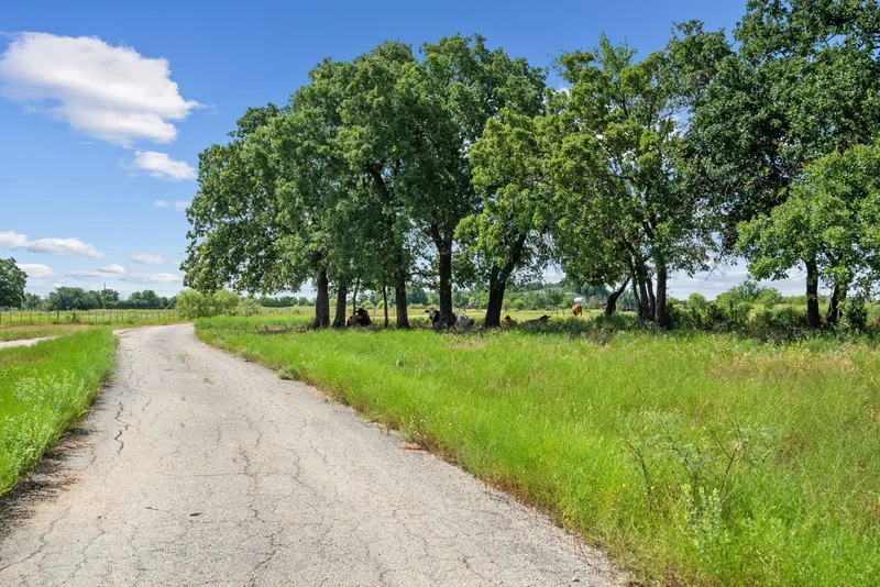 31772 W Fm 8, Dublin, TX 76446, Dublin, Texas, United States. - Photo 39