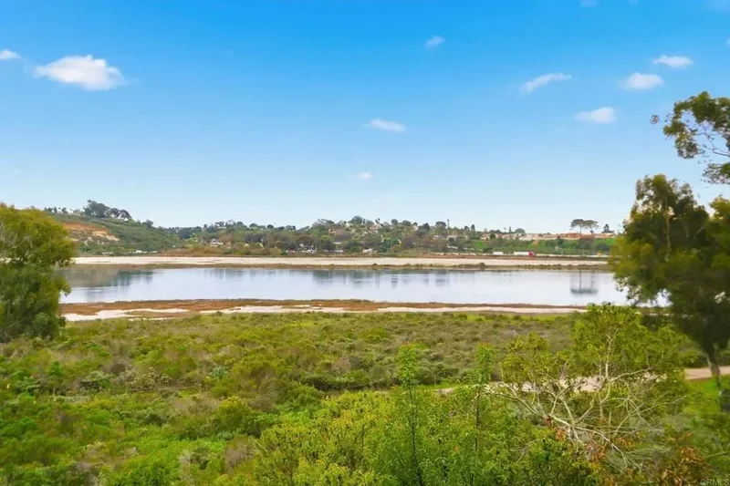 1313 Shorebird Lane, Carlsbad, California, United States. - Photo 38