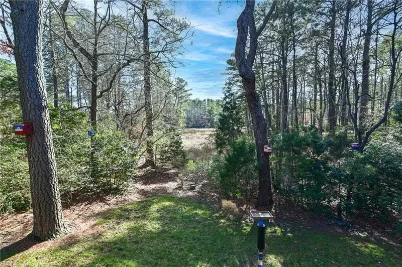 3109 Rivers Edge Cove, Virginia Beach, Virginia, United States. - Photo 13