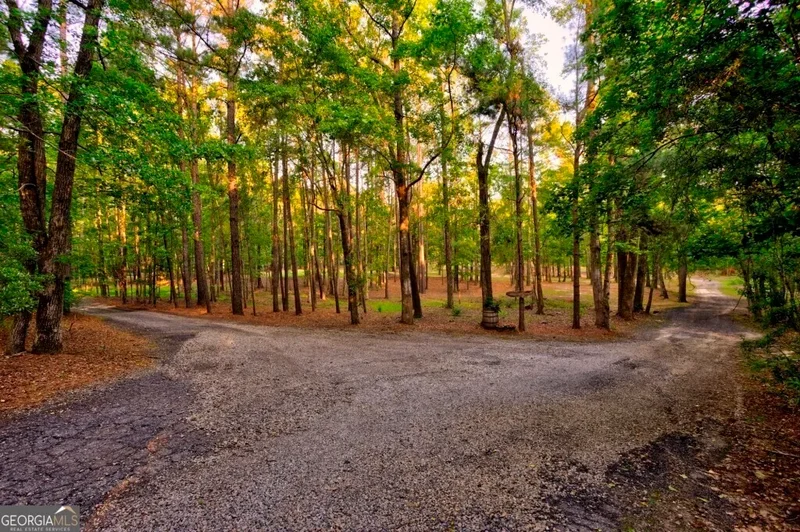 Midville, Georgia, United States. - Photo 65