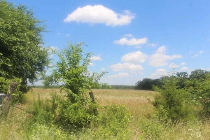 3176 S 170th Road, Polk, MO 65727, Bolivar, Missouri, United States. - Photo 12