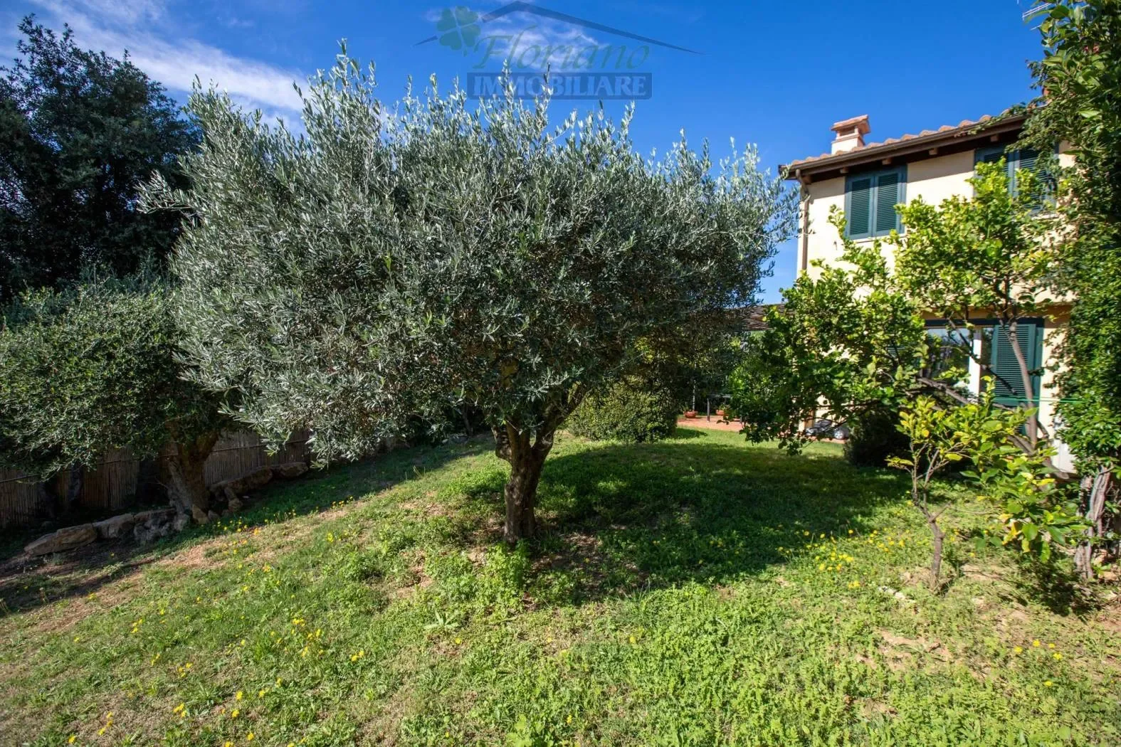 Via Giacomo Puccini, Capalbio, Tuscany, Italy. - Photo 12