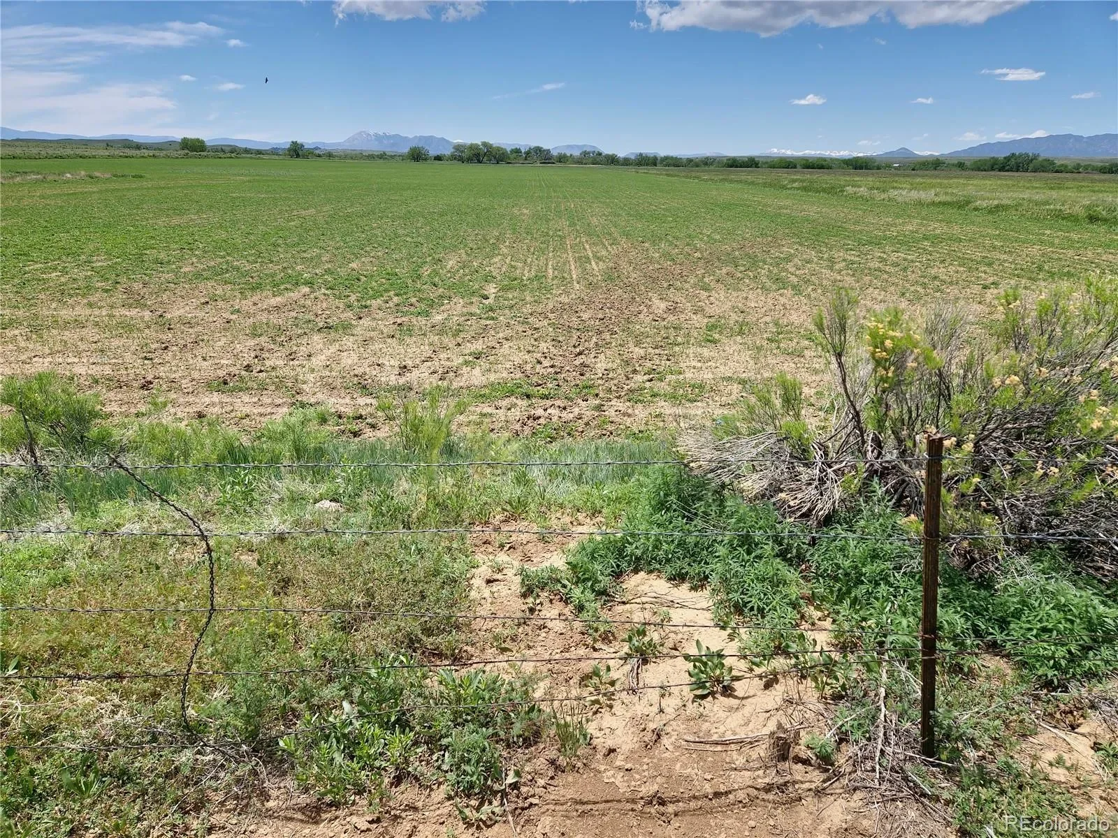 Walsenburg, Colorado, United States. - Photo 37