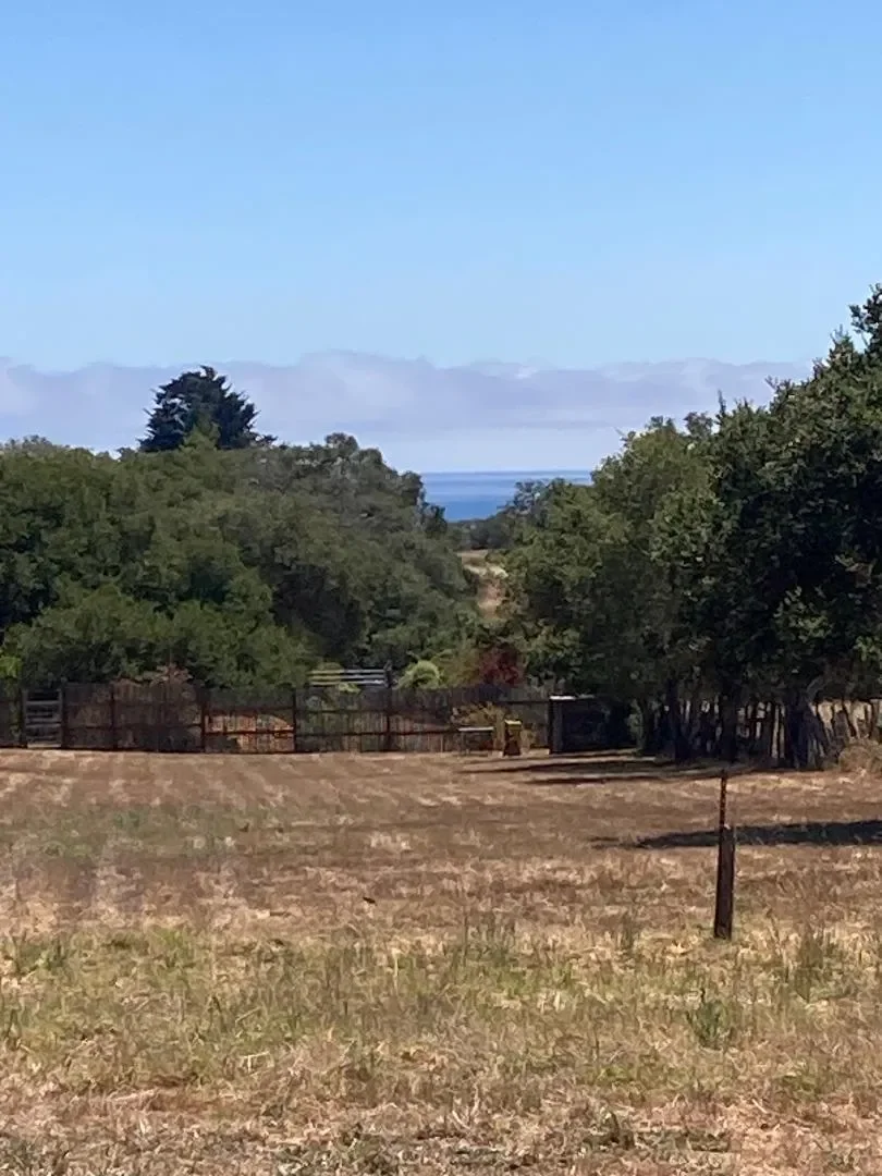 222 Highview Drive, Santa Cruz, California, United States. - Photo 17