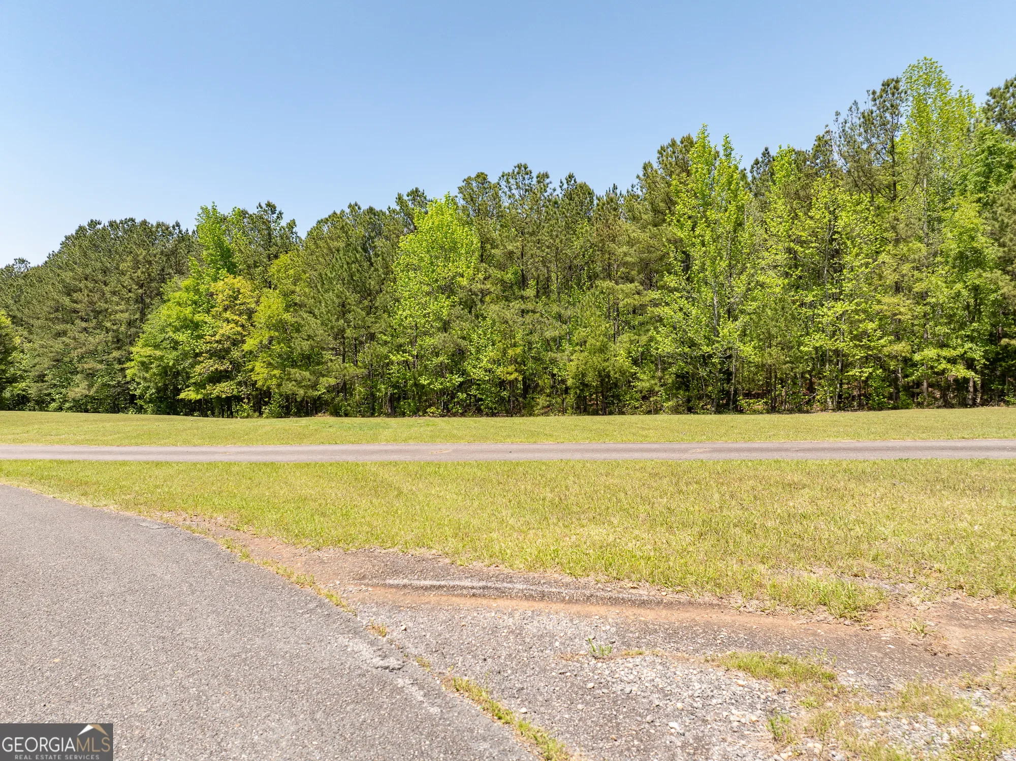 Shiloh, Georgia, United States. - Photo 46