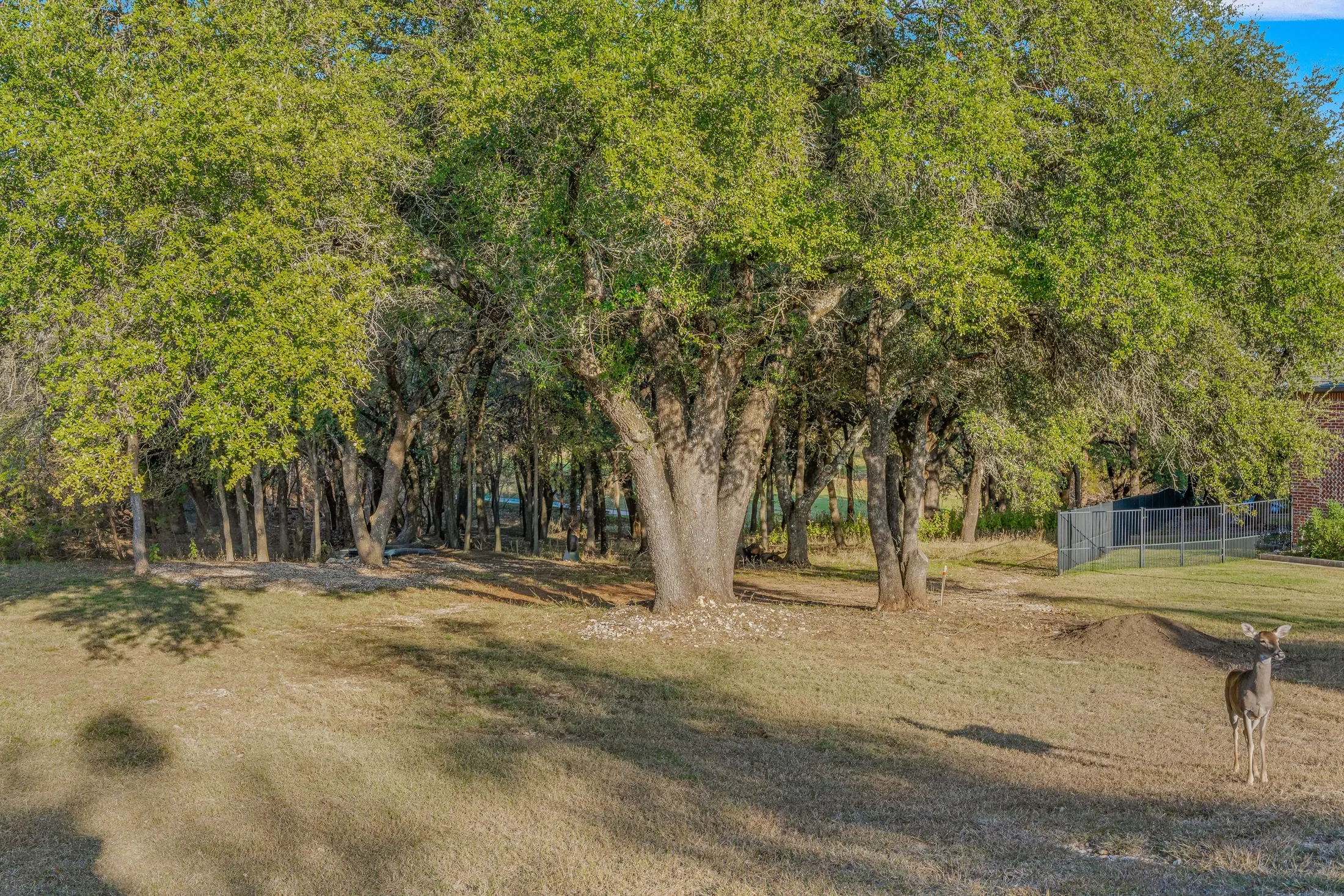 19069 Lakeview Court , Whitney, TX 76692, Whitney, Texas, United States. - Photo 63