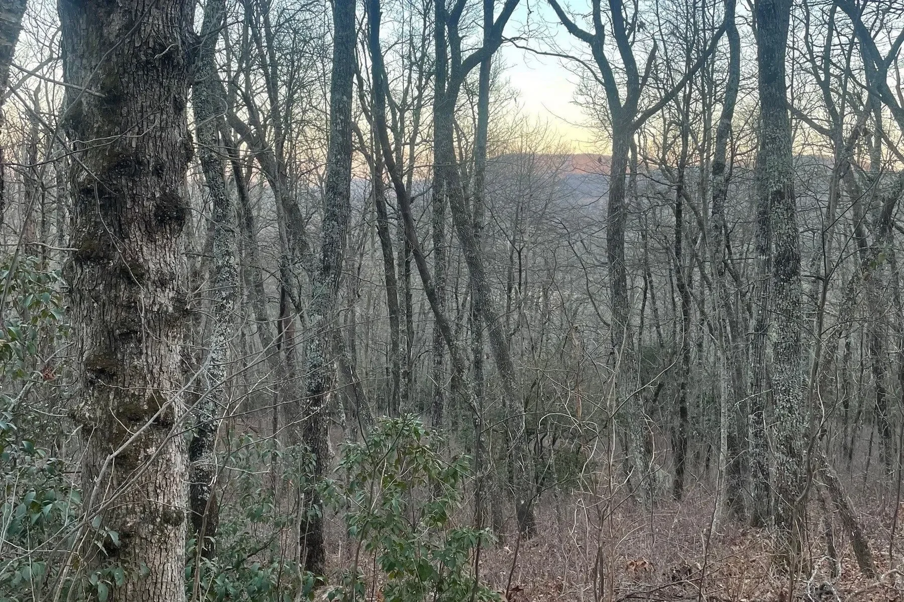 00 Off Zeb Buchanan Road, Cullowhee, NC 28723, Cullowhee, North Carolina, United States. - Photo 2