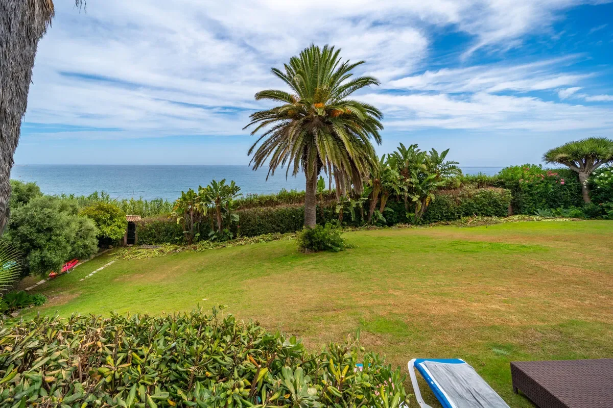 Málaga, Estepona, Andalusia, Spain. - Photo 12