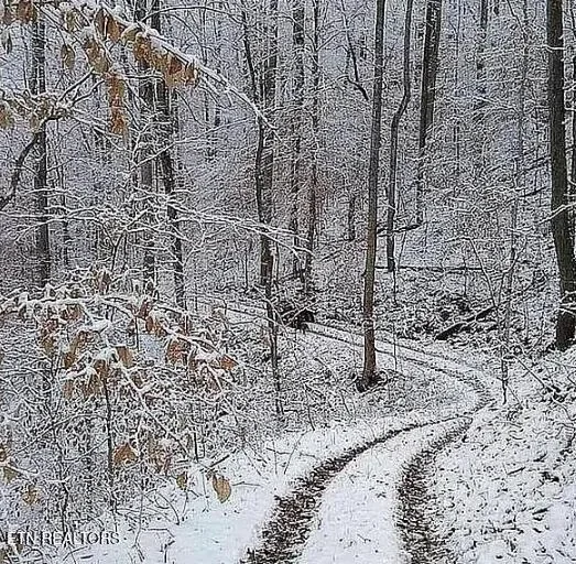 158 & 168 County Road 484, Englewood, TN 37329, Englewood, Tennessee, United States. - Photo 37