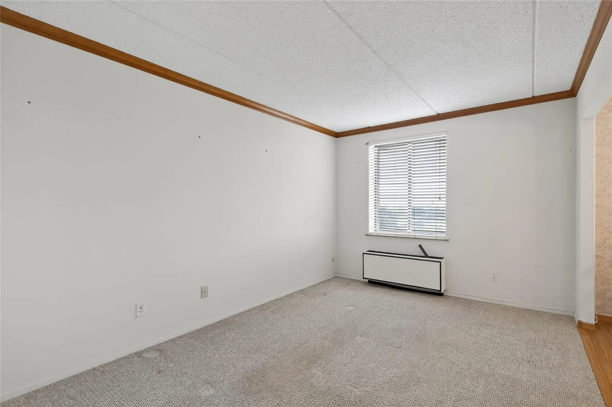 175 Maple Avenue Unit# 5G, Westbury, NY 11590, Salisbury, New York, United States. - Photo 10