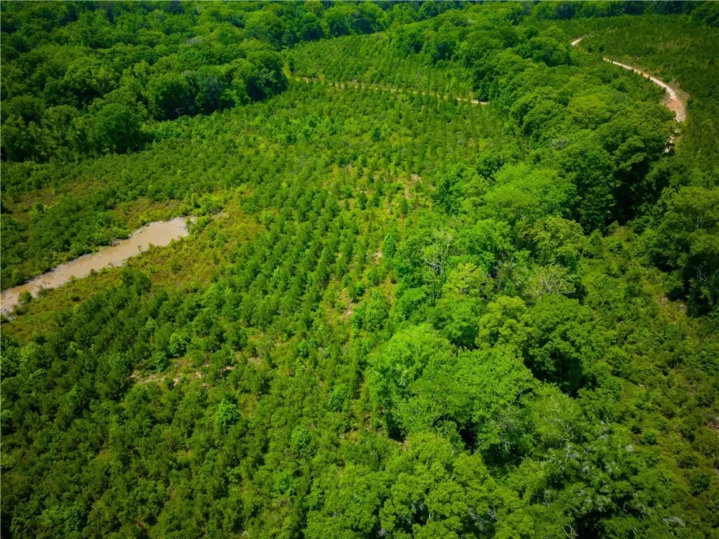 0 East River Road, Other, GA 31544, Jacksonville, Georgia, United States. - Photo 23
