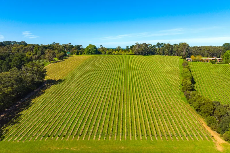 380-396 Arthurs Seat Road, Red Hill, VIC 3937, Red Hill, Victoria, Australia. - Photo 3