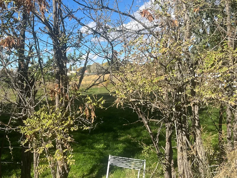 4210 W 1975 St , Plain City, UT 84404, Ogden, Utah, United States. - Photo 3