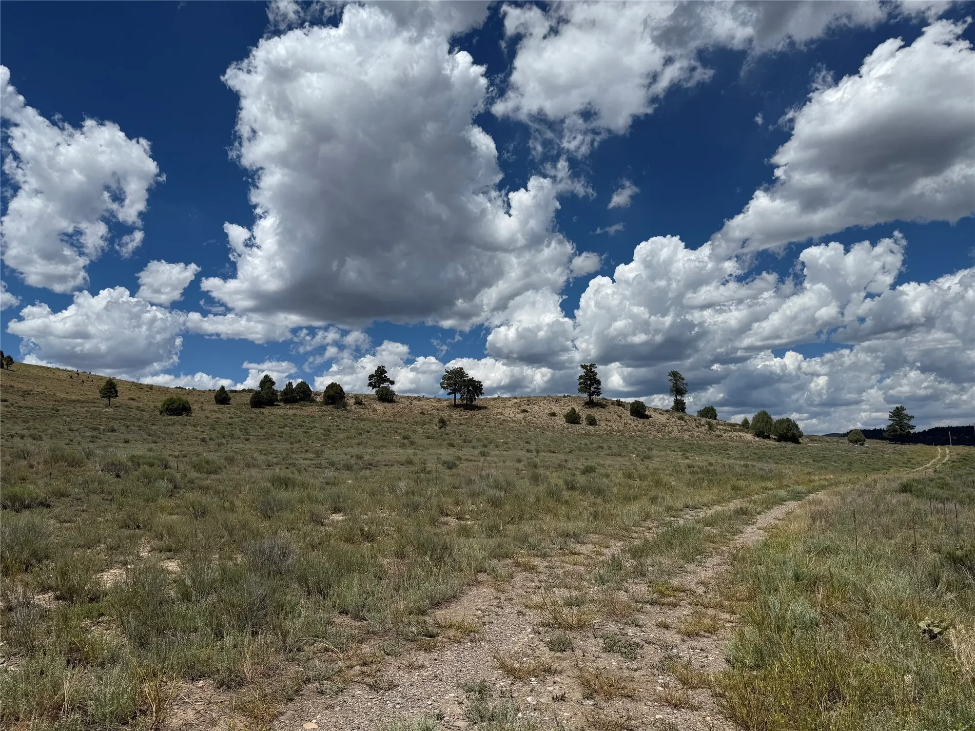 169 Elk Drive, Chama, NM 87520, Chama, New Mexico, United States. - Photo 65