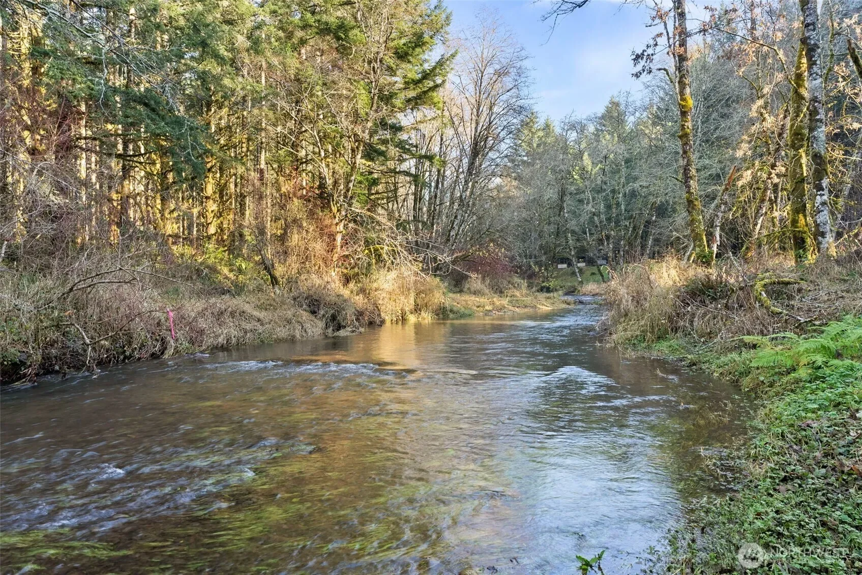 1895 North Fork Road, Chehalis, WA 98532, Chehalis, Washington, United States. - Photo 5
