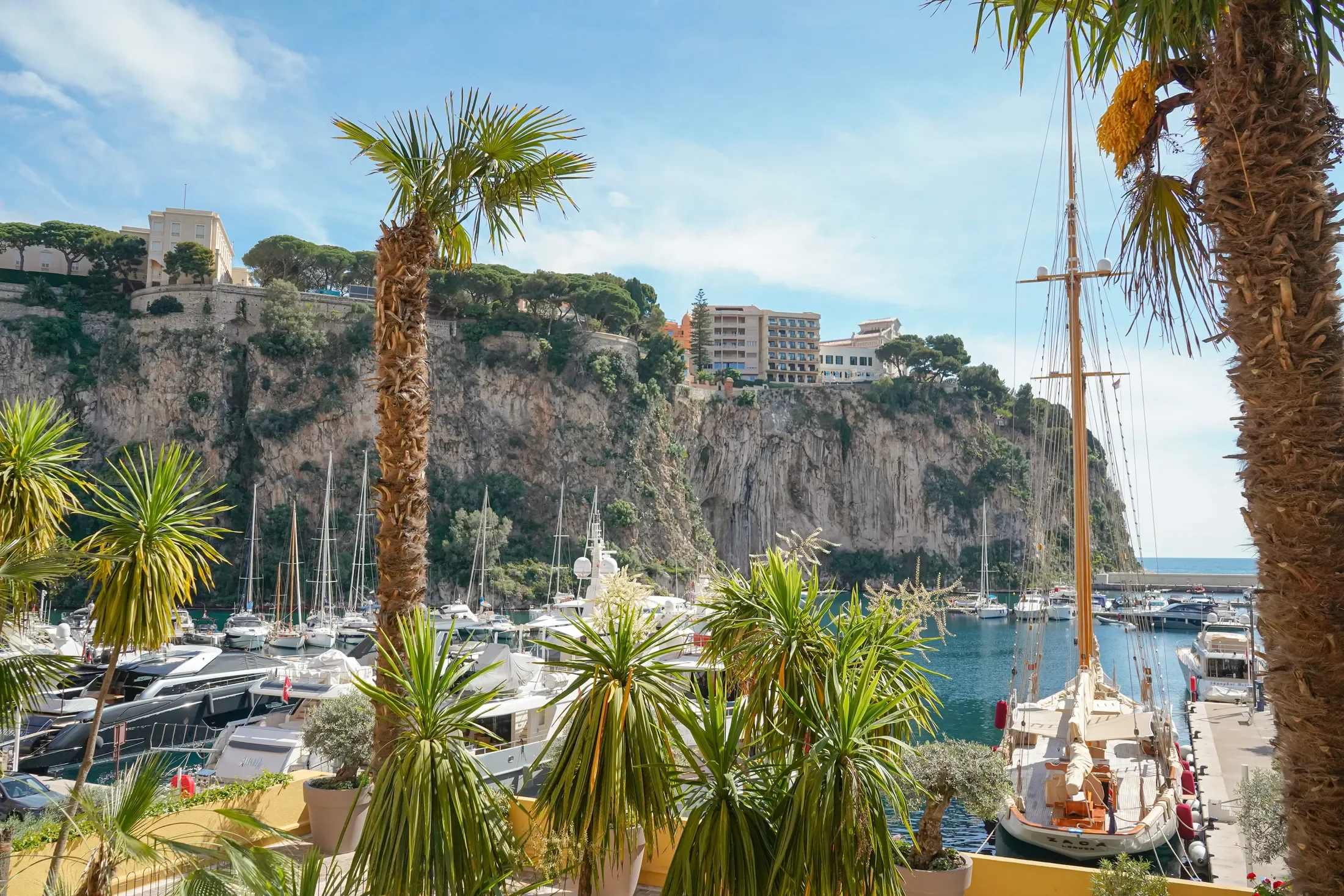 8 Av. des Papalins, 98000 Monaco, Monaco, Monaco. - Photo 3