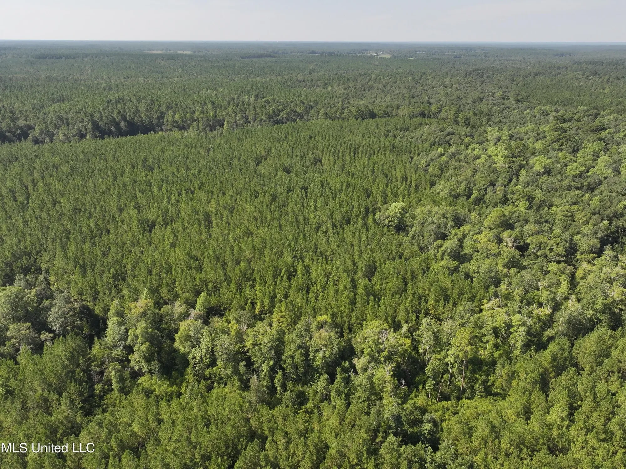 Buddy Finch Road, Lucedale, MS 39452, Lucedale, Mississippi, United States. - Photo 2