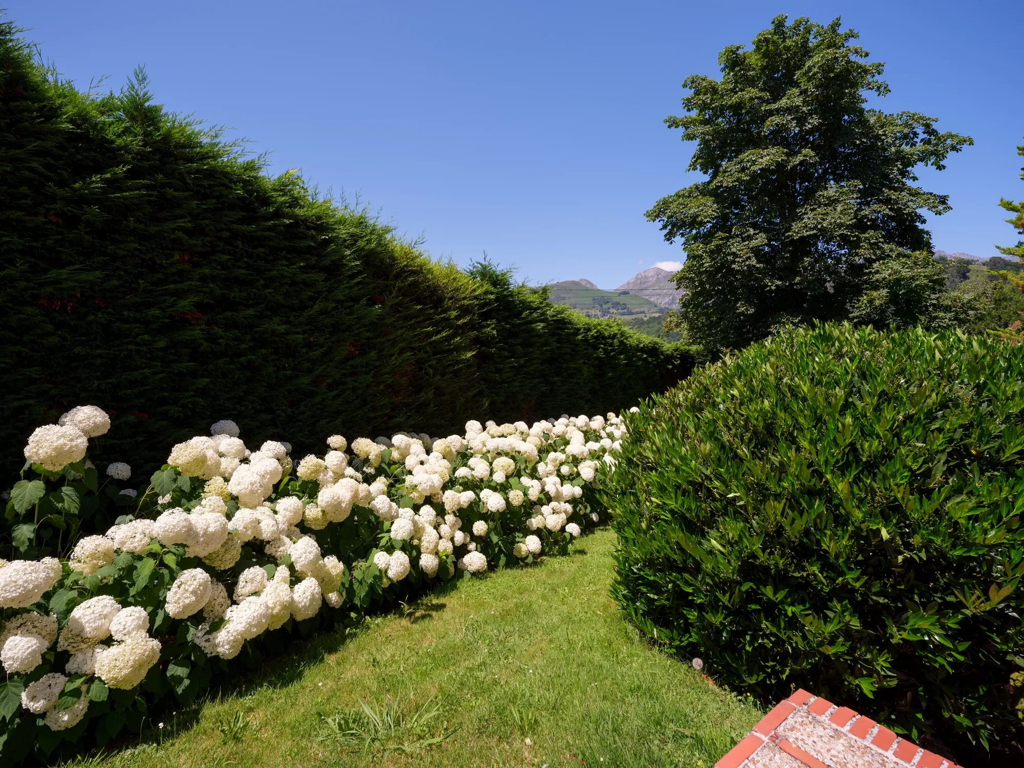 33584 Sebares, Asturias, Spain, Pilona, Asturias, Spain. - Photo 18