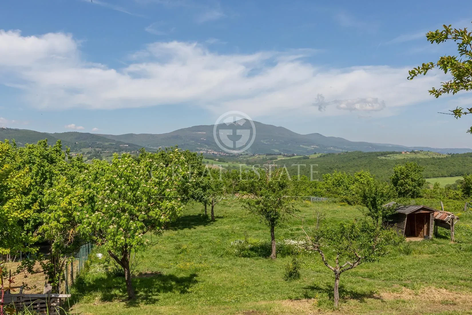Umbria, Umbria, Italy. - Photo 52