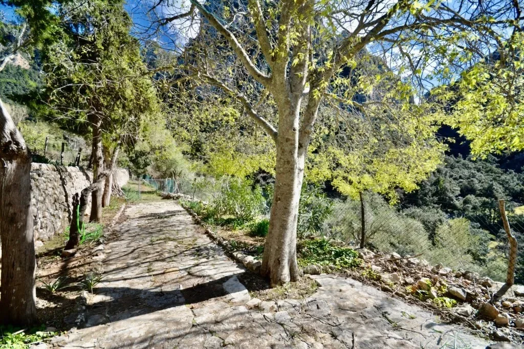 Baleares, Escorca, Balearic Islands, Spain. - Photo 10
