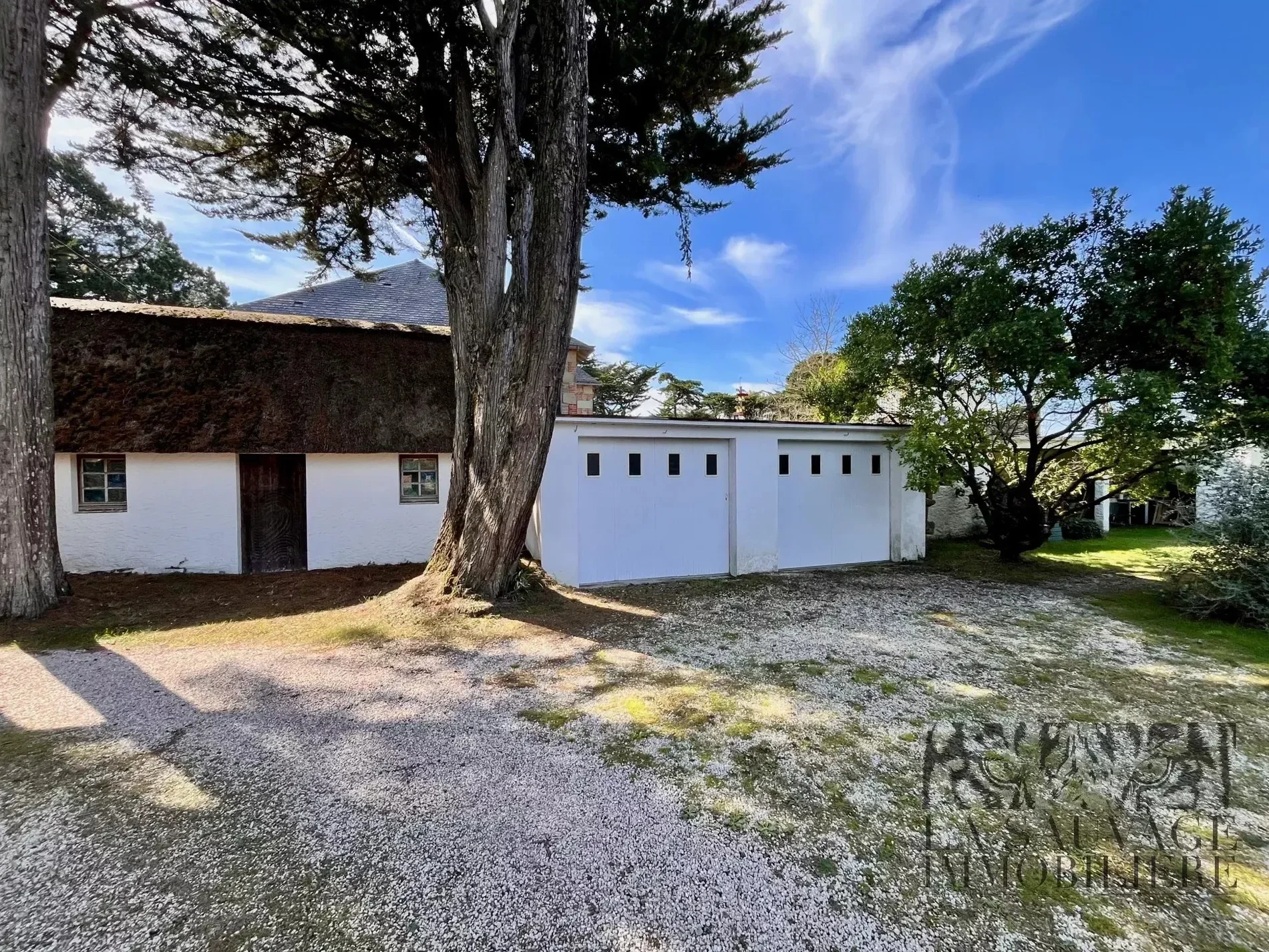 Exterior photo 6