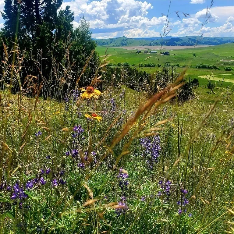 478 Pacer Landing, Manhattan, Montana, United States. - Photo 10