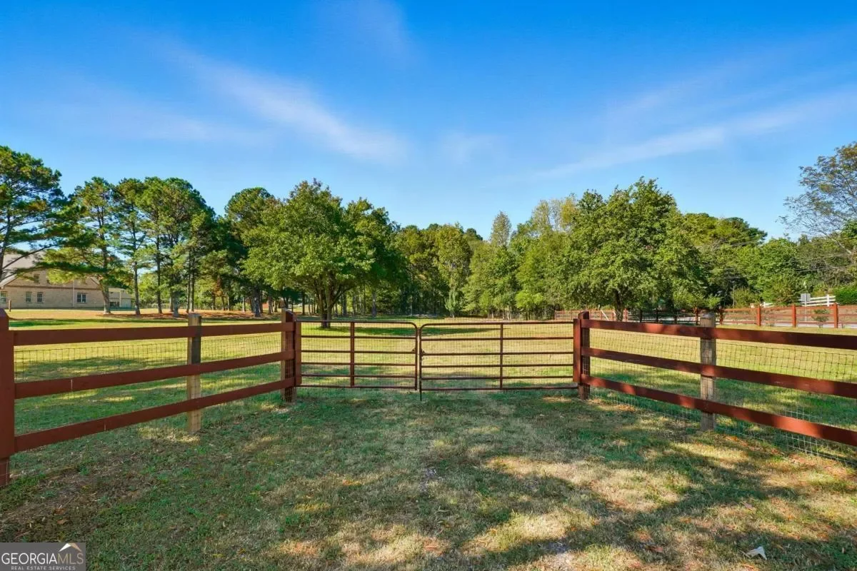 Hampton, Georgia, United States. - Photo 45