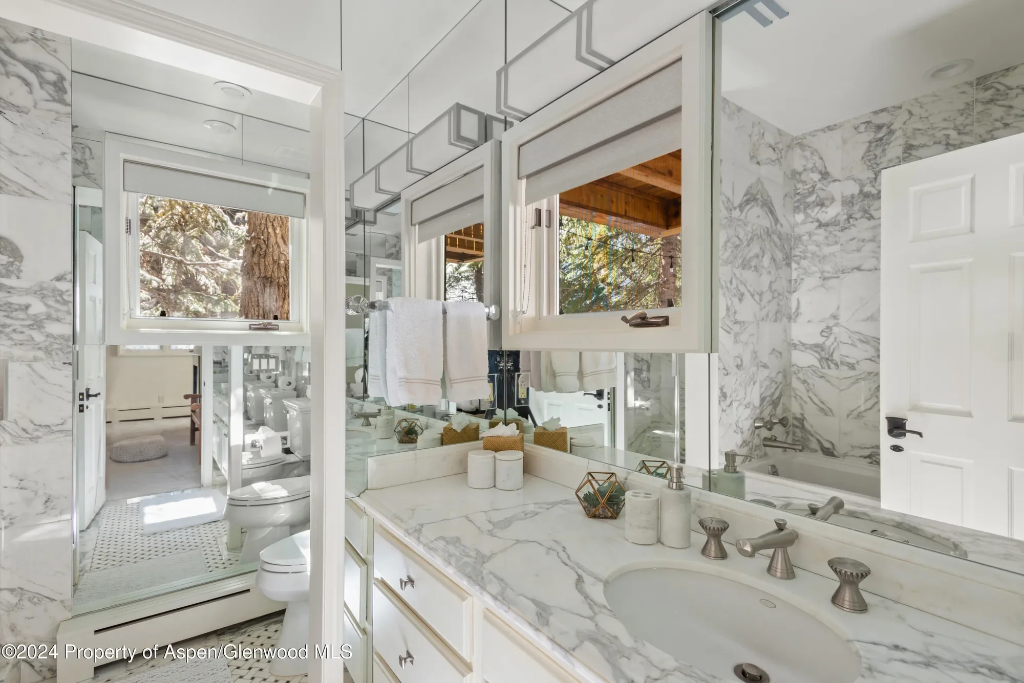 901 Ute Avenue, Aspen, Colorado, United States. - Photo 32